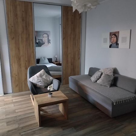 Centar Novi Sad-Apartman No 1 Exterior foto