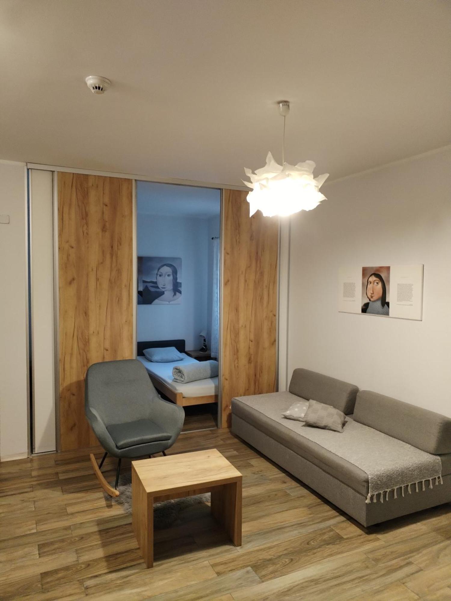 Centar Novi Sad-Apartman No 1 Exterior foto
